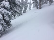 Skier triggered avalanche. Bed surface was in the most recent snow. 