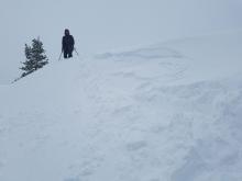 Small 6-8" deep wind slab failed on test slope, NE aspect at 7000'.