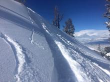 Ski cut in wind pillow near summit with no wind slab failure.