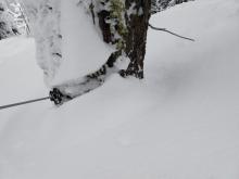 Signs of storm snow settlement, approaching 10 inches in some areas.