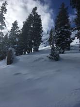 Avalanche debris from a previous slide was buried under about a foot of soft snow.