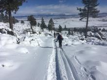 Snow coverage near 5,400 ft elevation in the Carson Valley