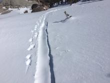 Skin track was filling in with light snow transport.