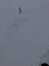 Low vis photo of shooting cracks and small wind slab avalanche, skier triggered