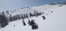 Macro ripples (aka tiger stripes) across a slope near the summit of Tamarack.