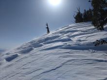 Wind-scoured features along a ridge.