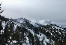 Intense snow transport over Freel Peak