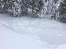 Small wind slabs kicked off wind loaded ridgeline.