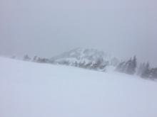 Strong SW winds with intense snow transport provided blizzard conditions near the summit.