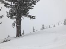 Wind scouring on ridge by Donner Rim trail 