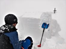 ECTN on a sheltered NE facing slope in below treeline terrain.