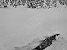 Refrigerator sized cornice dropped onto a wind-loaded test slope with no results. 