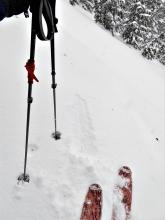 New snow had barely covered the previously scoured surfaces leaving variable dust on crust conditions in some exposed areas.