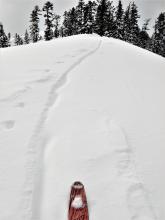 Our skin track refilled within an hour from a combination of new snow and light wind loading.