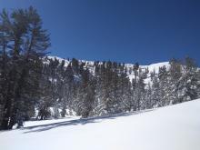 Wind scoured terrain on upper Northerly aspects in this area from the recent NE winds.