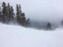 Intense blowing snow in below treeline areas at 8000'.