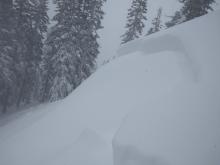 Crown of 2-3 feet with 8 inches of storm snow on bed surface.