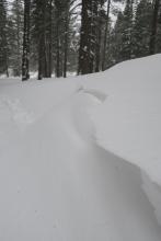 This wind feature is notable because it is at the base of Powderhouse only a couple hundred feet from the road.