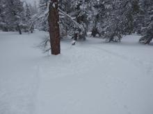 First avalanche triggered at ~8,700' by intentional ski cut.