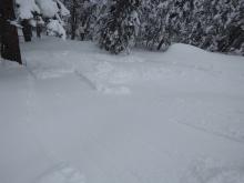 Moving below 7,800' these avalanches could be triggered by ski cuts on just about any convexity about 34 degrees and steeper.