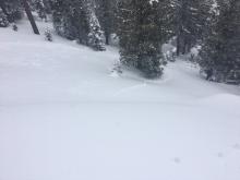 Avalanche debris into trees below.