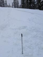 Crown and slide path with ski pole at toe of debris for scale 