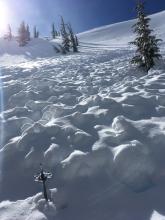 There were multiple similar avalanches that occurred yesterday along this ridge. This is one of the larger ones. 