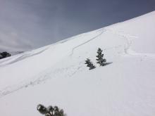 Ski cut