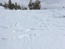 Wind scoured area just west of Frog Lake. There were areas scoured down to old rain crust. 