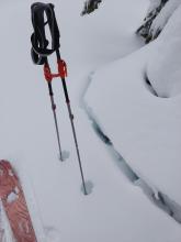 Settlement cracks existed around trees in more sheltered terrain.