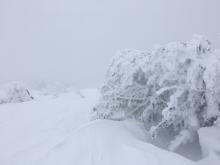 Thick low to mid level clouds during the morning hours on Tamarack Peak.