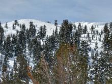 Scoured slopes and large cornices on the summit of Incline Lake Peak.