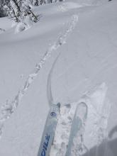 Ski kick triggered shooting crack on a previously undercut test slope wind-loaded by the NE winds.