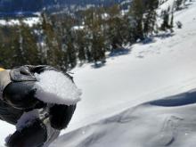 Small surface hoar on N aspect terrain near Mt. Judah summit.