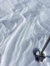 Cold wintry snow lingered in a few shady high elevation zones.