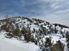 Wind affected snow on a N - NW aspect at around 9400 ft. 