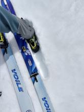 Ankle deep wet snow on a S facing slope at 8000 ft. at 1 pm