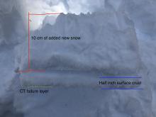 Photo of the compression test failure we saw in the artificially loaded tests on a shade N aspect. 