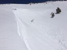 Small skier triggered wind slab with loose wet characteristics.  8600', south aspect, at 11:45am.