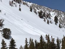 Small loose wet avalanches on Fireplug.  E/SE aspect, 9200', 11am.