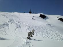 D1 skier triggered loose wet avalanche on east aspect @ 7300ft