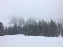 Mid to low level clouds with light snow on Incline Lake peak.