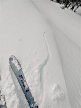 Shooting crack on a wind-loaded test slope on @ 9100 ft. on Powderhouse