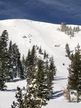 Wind slab avalanche on the east face of Judah Peak caused by an oven sized cornice failure