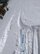 Skier triggered cracking on a previously undercut low angle wind-loaded slope.