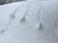 Looking up at the ski triggered loose wet activity. 