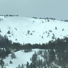 Human triggered loose wet avalanches on Prolitariate Bowl.