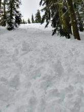 Debris from the ski cut triggered loose wet avalanche in the previous photo