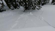 This ski cut triggered D1 loose wet avalanche released on a NNW aspect at 