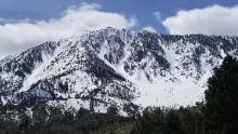 Trimmer Peak East Slope Avalanches